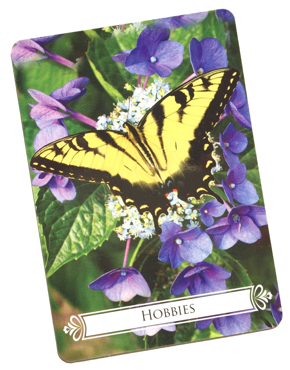 趣味(Hobbies)*バタフライオラクルカードより、今日のエンジェル